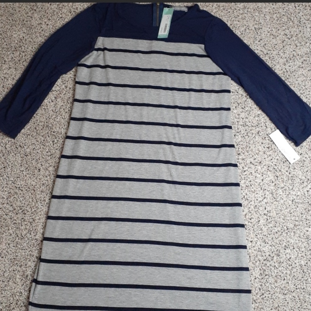 Loveappella Aryanna Blue Stripe Knit Dress